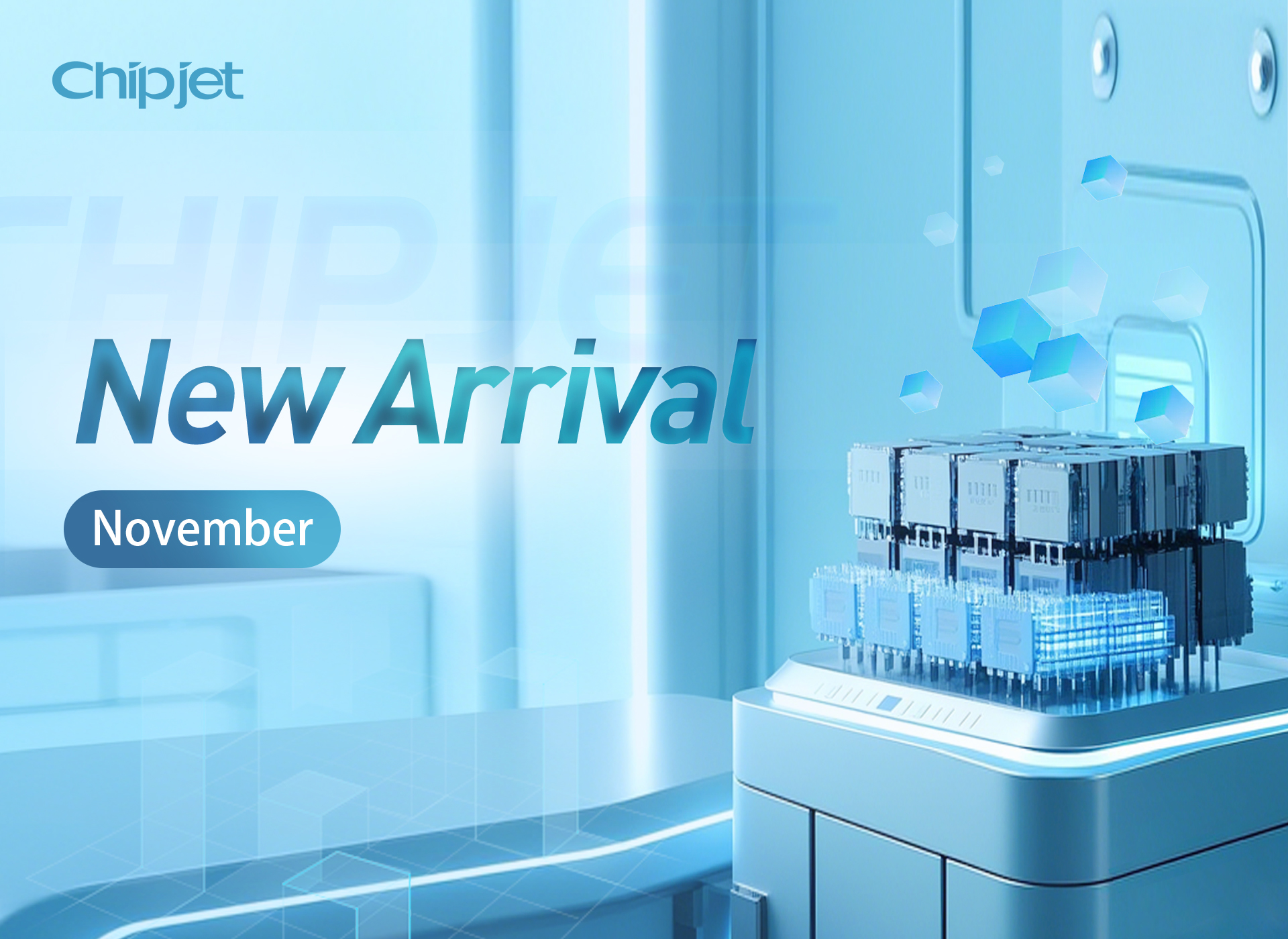 New Arrivals in November 2025