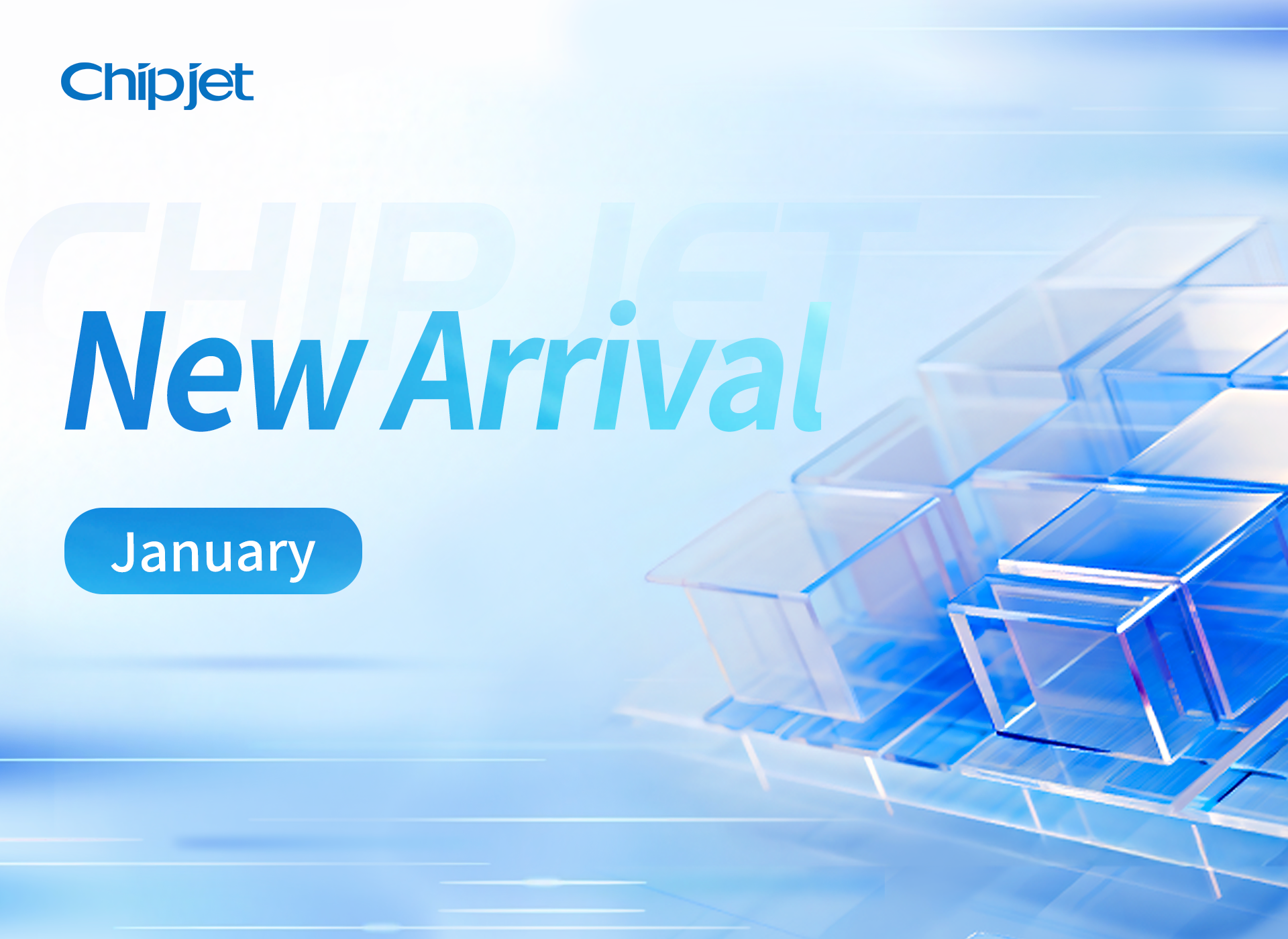 New Arrivals in January 2026